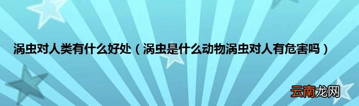 涡虫是什么动物涡虫对人有危害吗 涡虫对人类有什么好处