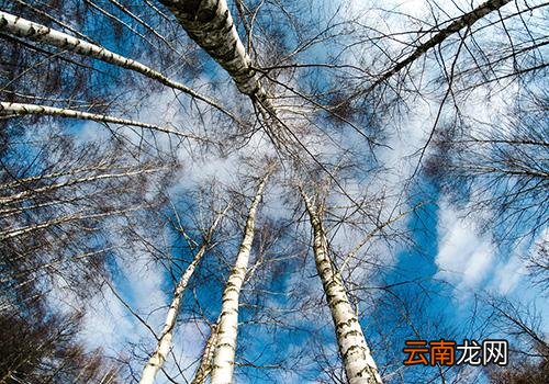 立冬人们做哪些事情,立冬后做什么事情