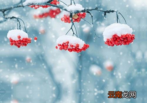 立冬节气养生,立冬养生重点是什么