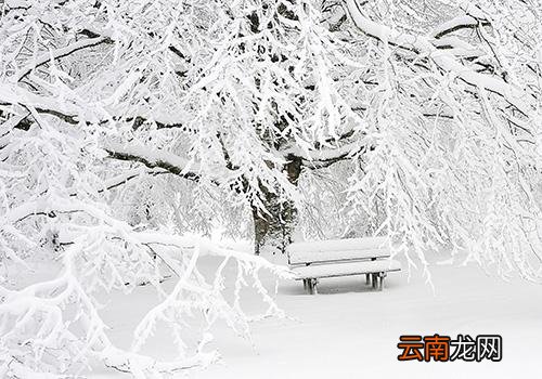 三九天是什么时候,三九天吃什么比较好