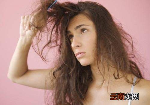 头发掉得多什么原因 女生掉头发吃什么好