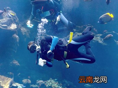 体验潜水后能坐飞机吗
