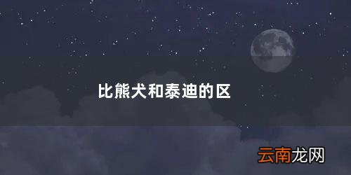 比熊犬与泰迪的区别 比熊犬和泰迪的区别