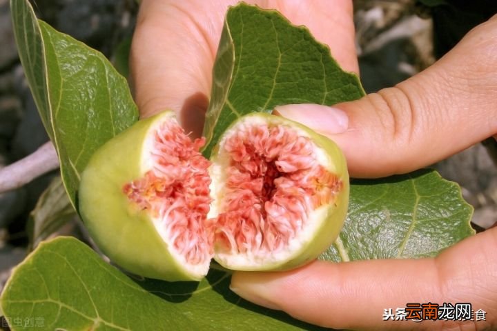 无花果干只会生吃吗 无花果干怎么吃