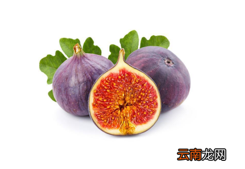 喝无花果汁的好处 无花果汁液的作用