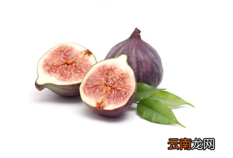 喝无花果汁的好处 无花果汁液的作用