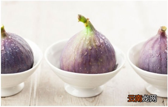 润肺止咳的首选 无花果的功效与作用