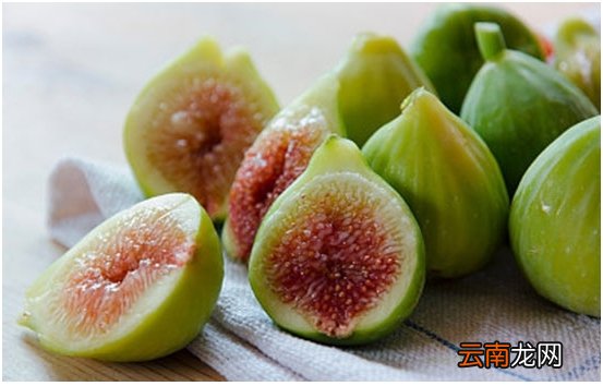 润肺止咳的首选 无花果的功效与作用