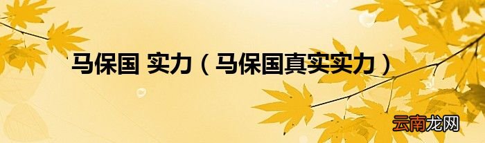 马保国真实实力 马保国 实力