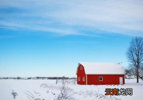 大雪节气有没有下雪,什么节气会下雪