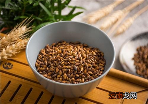 吃什么有助于消化 8种助消化的食物