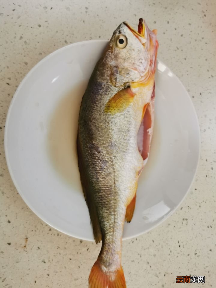 在家做菜之红烧黄花鱼 红烧黄花鱼的做法