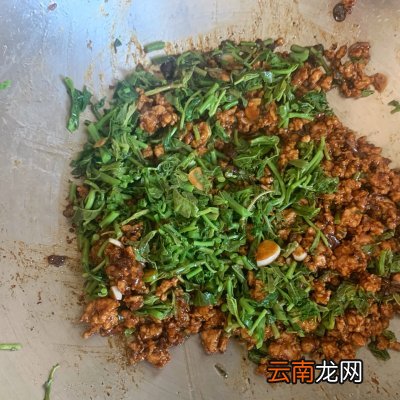 肉末香椿拌面超美味 香椿拌面的正宗做法