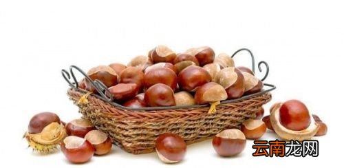 生板栗减肥期间能吃吗