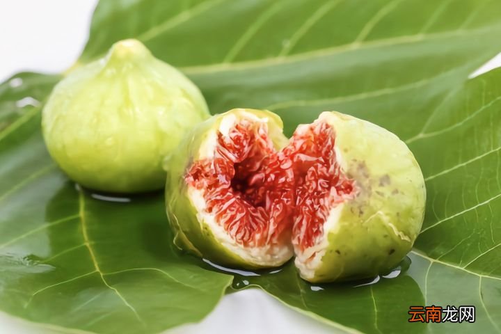 无花果到底有没有花呢 无花果有花吗