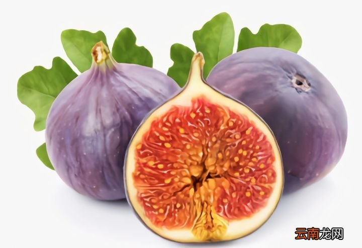 无花果到底有没有花呢 无花果有花吗