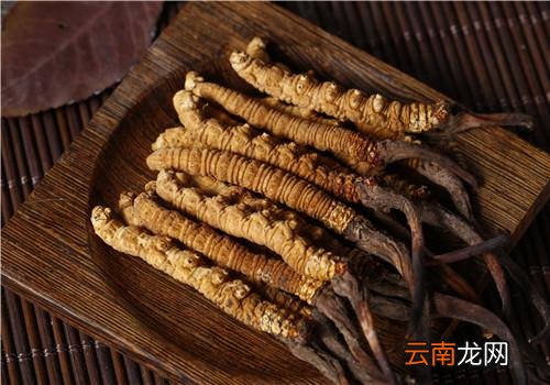 虫草可以用保温杯泡吗,哪些人不能吃虫草