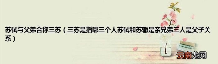 三苏是指哪三个人苏轼和苏辙是亲兄弟三人是父子关系 苏轼与父弟合称三苏