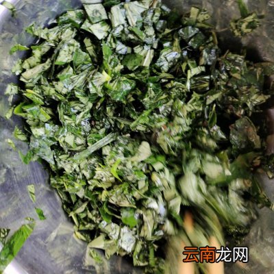 爱心早餐省时做 红薯叶窝窝头怎么做好吃又简单