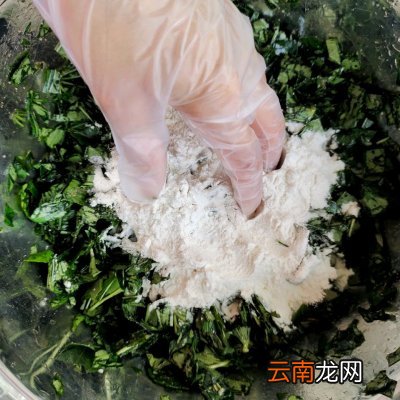 爱心早餐省时做 红薯叶窝窝头怎么做好吃又简单