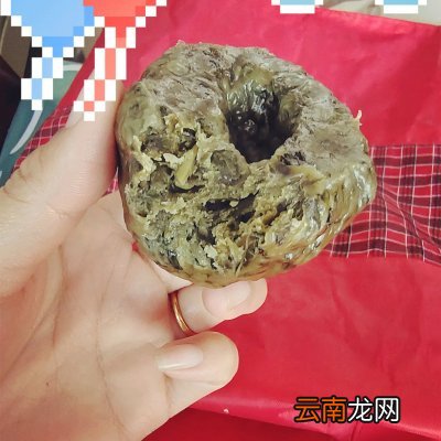 爱心早餐省时做 红薯叶窝窝头怎么做好吃又简单