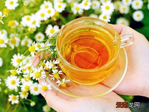 苹果茶的做法和功效 煮苹果水的功效