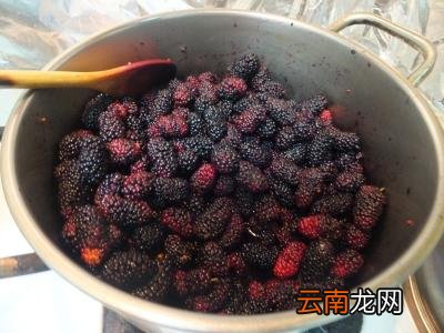 桑葚的适宜人群及食用禁忌 桑葚的功效与作用禁忌