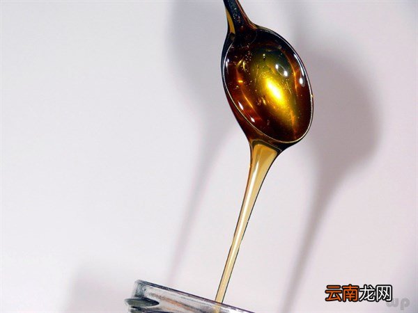 桑葚和蜂蜜能一起泡酒吗 桑葚泡酒的功效与作用