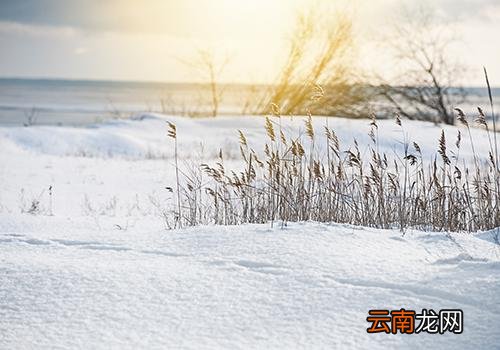 大雪节气是哪天,大雪三候的意思