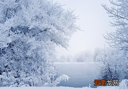 大雪节气是哪天,大雪三候的意思