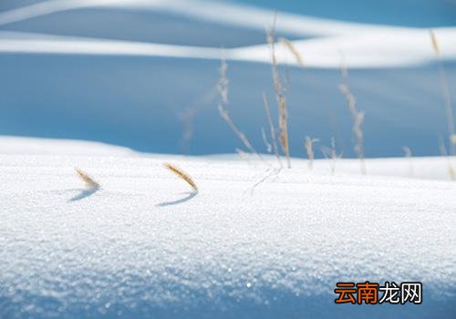 大雪节气是哪天,大雪三候的意思