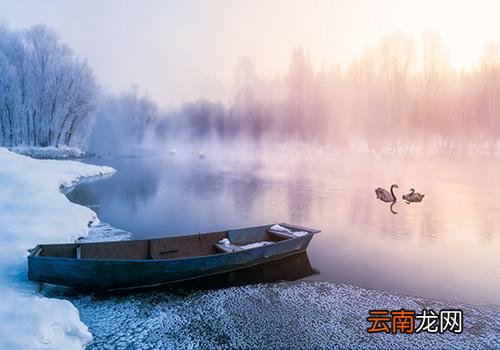 大雪节气是哪天,大雪三候的意思