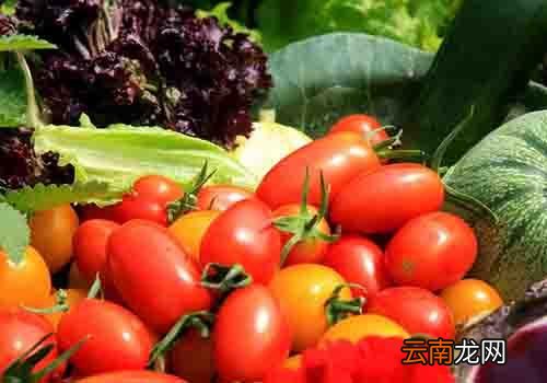 农药残留怎么去除,蔬菜怎么去除农药残留