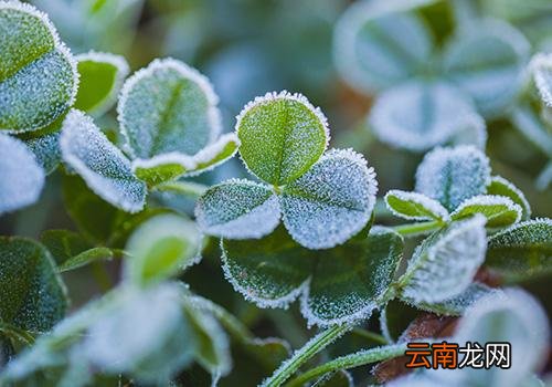 立冬气温多少度,立冬前天气怎么样