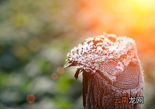 立冬气温多少度,立冬前天气怎么样