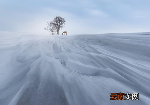 立冬气温多少度,立冬前天气怎么样