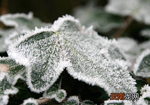 霜降穿什么衣服,霜降北方地区冷吗