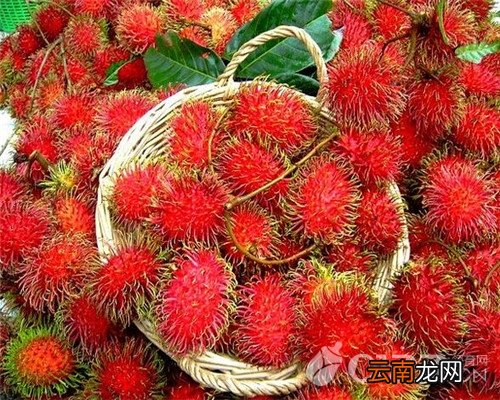 红毛丹有什么食用功效 孕妇可以吃红毛丹吗