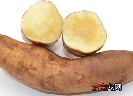 雪莲果的功效与作用及禁忌 吃雪莲果有什么好处