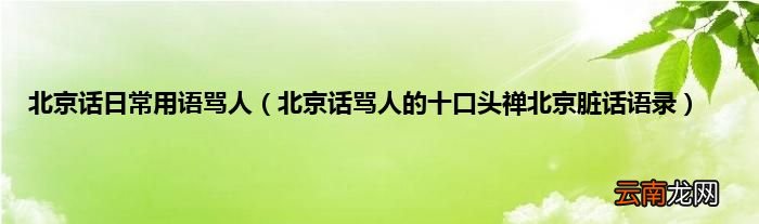 北京话骂人的十口头禅北京脏话语录 北京话日常用语骂人