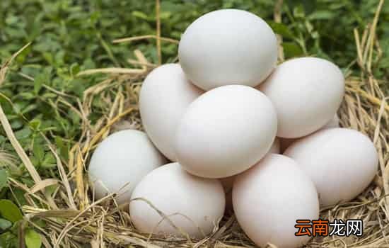 鸭蛋绿壳好还是白壳好 动物蛋壳的颜色由什么决定的