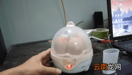蒸蛋器的使用方法 蒸蛋器不只是蒸蛋这么简单