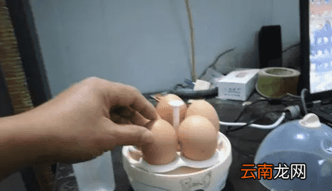 蒸蛋器的使用方法 蒸蛋器不只是蒸蛋这么简单