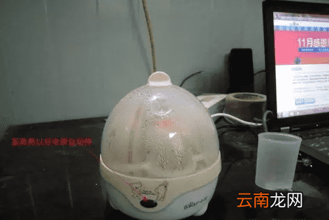 蒸蛋器的使用方法 蒸蛋器不只是蒸蛋这么简单