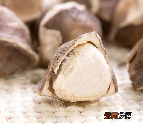 辣木籽怎么吃的 睡前吃三粒4种好处