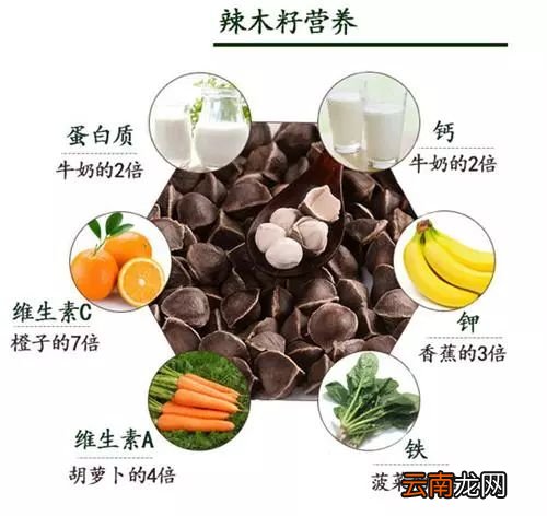 辣木籽怎么吃的 睡前吃三粒4种好处