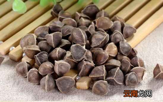 辣木籽怎么吃的 睡前吃三粒4种好处