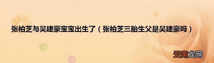 张柏芝三胎生父是吴建豪吗 张柏芝与吴建豪宝宝出生了