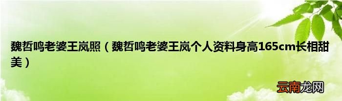 魏哲鸣老婆王岚个人资料身高165cm长相甜美 魏哲鸣老婆王岚照