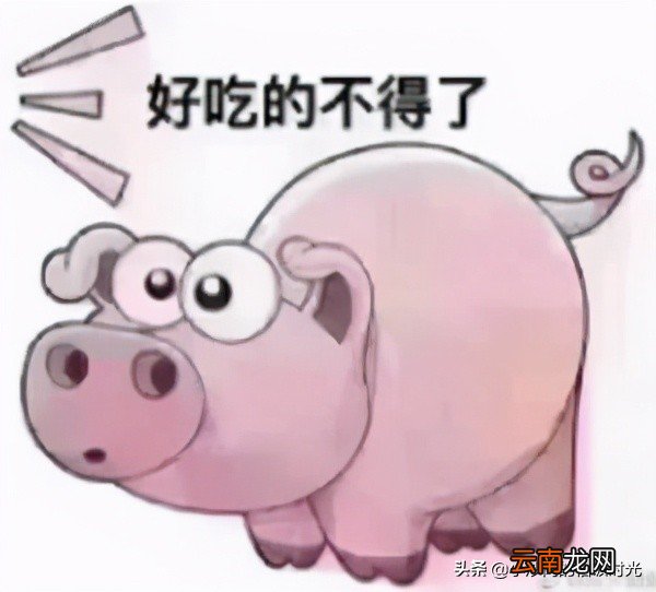 好喝的猪肚鸡汤怎么做 猪肚鸡汤怎么煲才好喝